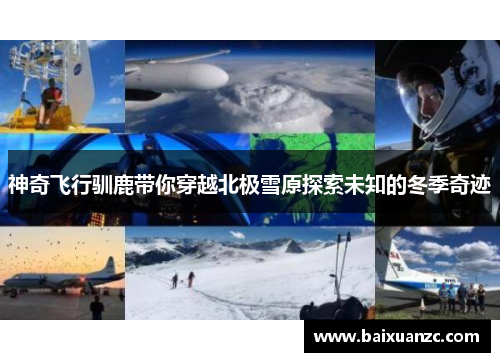 神奇飞行驯鹿带你穿越北极雪原探索未知的冬季奇迹